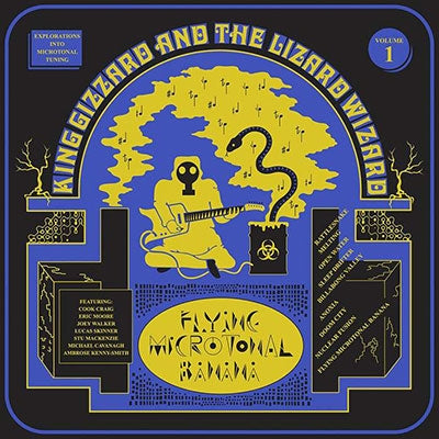 Flying Microtonal Banana [Eco-Wax Edition LP] | - ROCK *NEW*