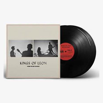 When You See Yourself (2LP | Black Vinyl) | Mint (M) Mint (M) - ALT/INDIE *SEALED*