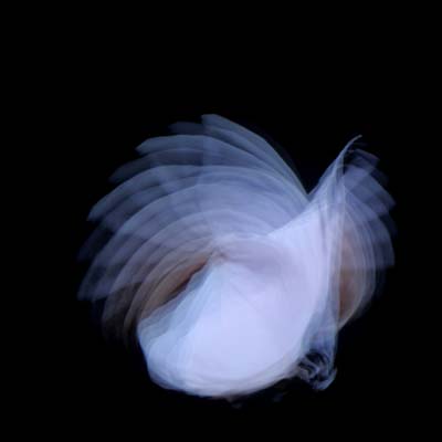 Feathermagnetik |