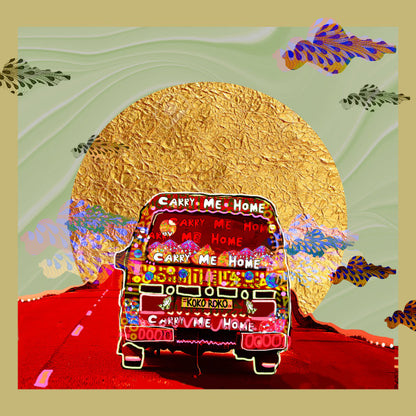 Carry Me Home / Baba Ayoola (VINYL) | Mint (M) Mint (M)