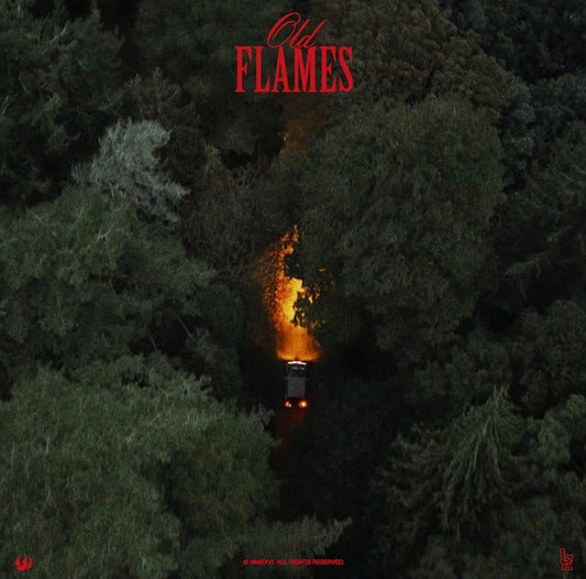 La Roux - Old Flames |