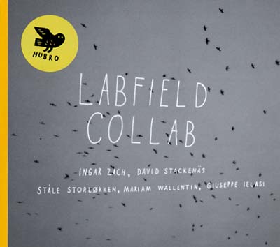 Collab |