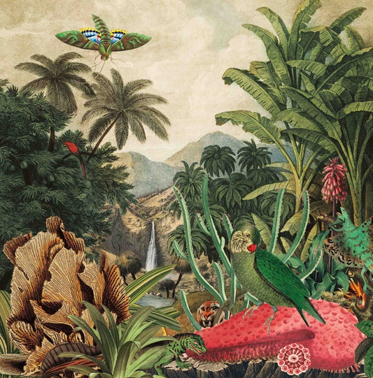 Imaginary Island Music Vol. 1: Canary Islands |