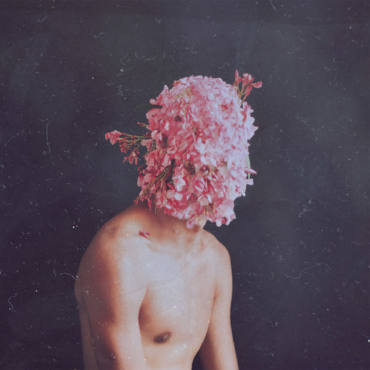 Phase Transition | Mint (M) Mint (M) - DEEP HOUSE *SEALED*