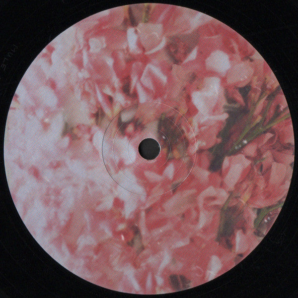 Phase Transition | Mint (M) Mint (M) - DEEP HOUSE *SEALED*