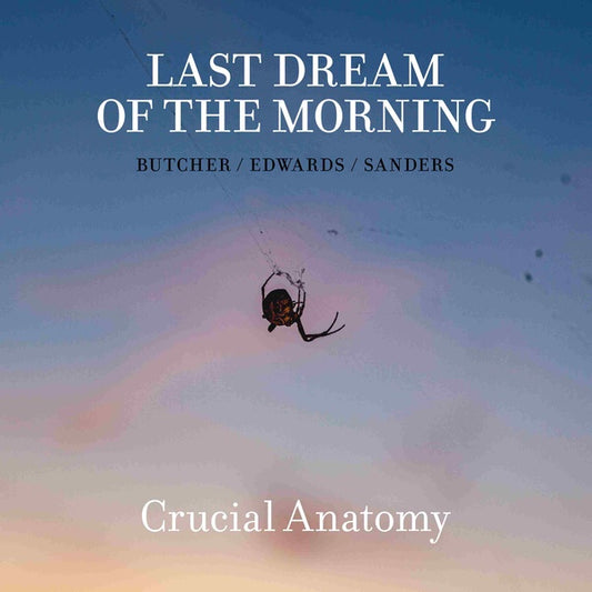 Crucial Anatomy |