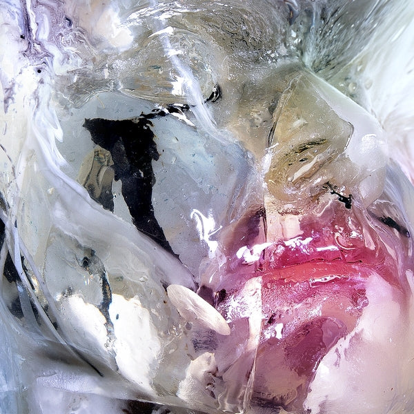 Late Bush - Hoarses [LP] |