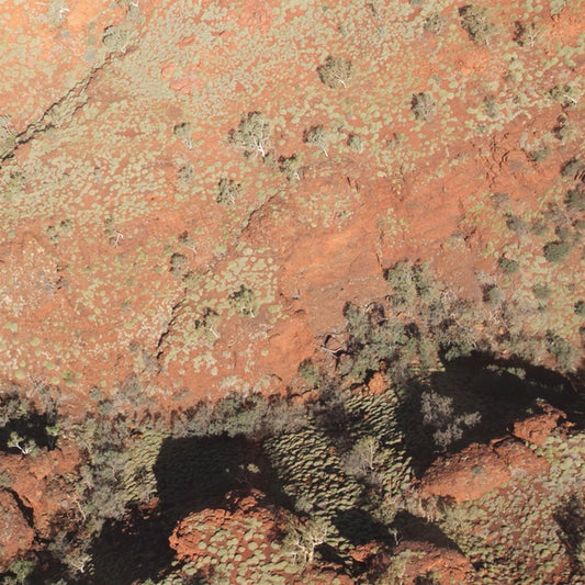 Tropic of Capricorn |
