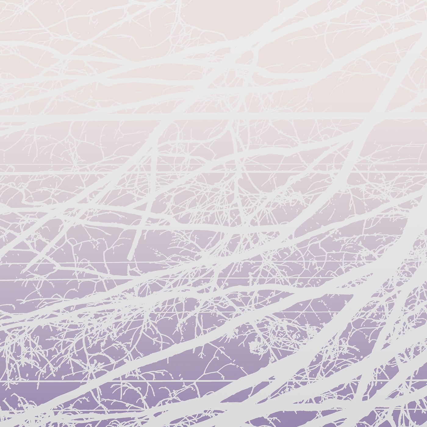 Lea Bertucci - Metal Aether |