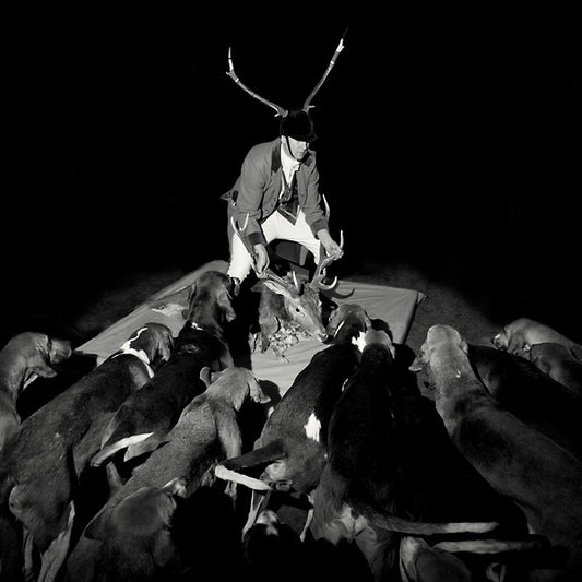 A Night Full Of Collapses |