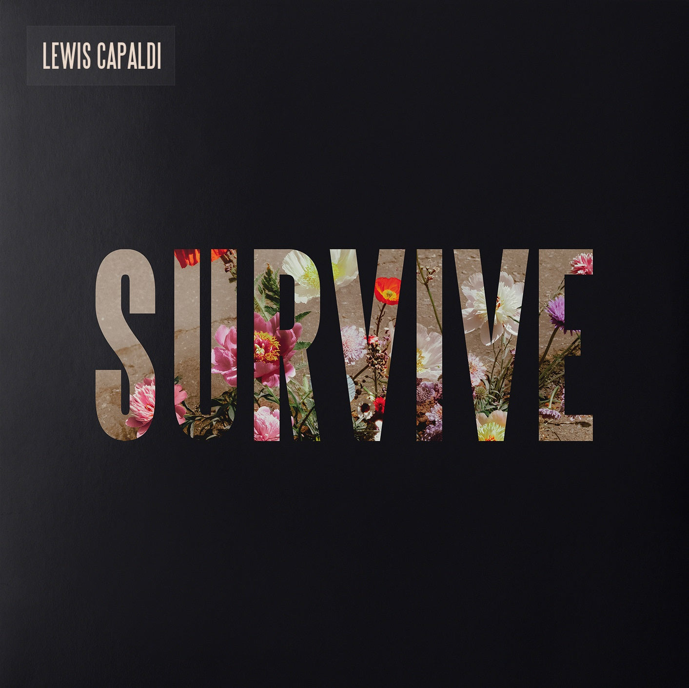 Survive [Clear 12" EP] |