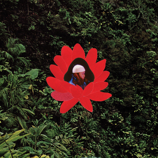 When The Flowers Bloom |