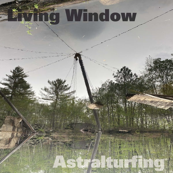 Astralturfing |