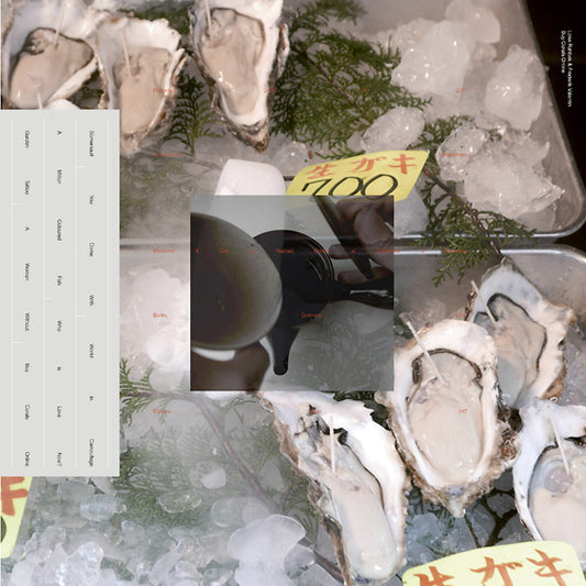 Buy Corals Online |