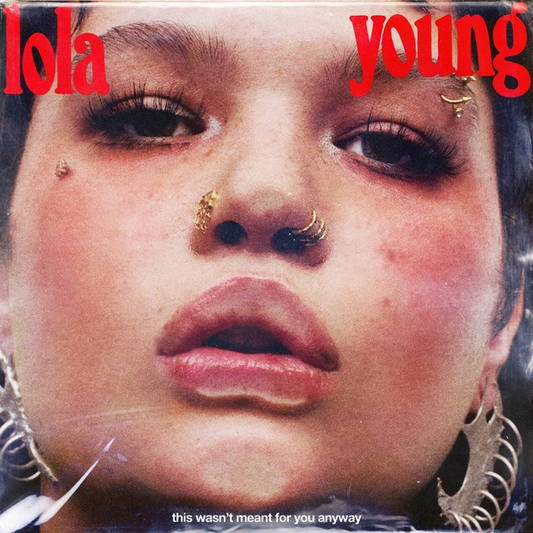This Wasn't Meant For You Anyway [Explicit Content] |