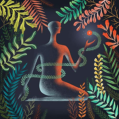 Loma - Don't Shy Away |