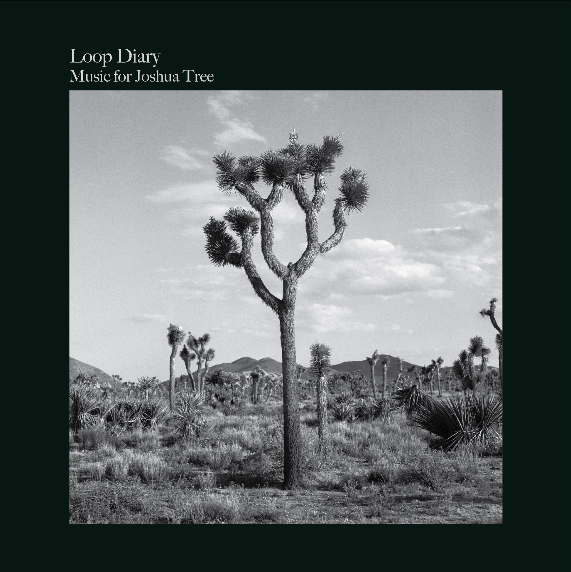 Loop Diary - Music For Joshua Tree |