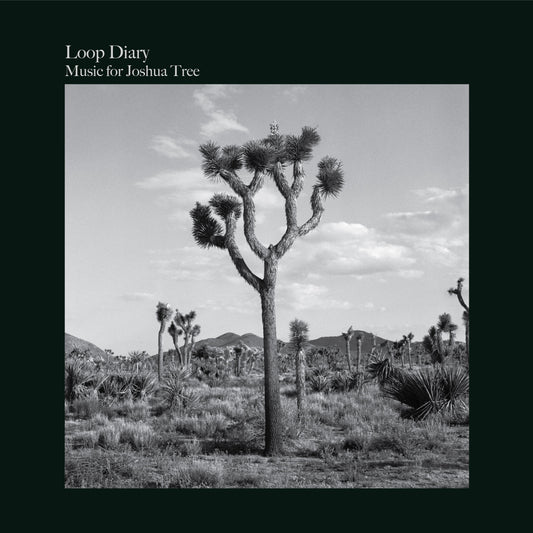 Loop Diary - Music For Joshua Tree |