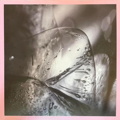 Clara | Mint (M) Mint (M) - AMBIENT