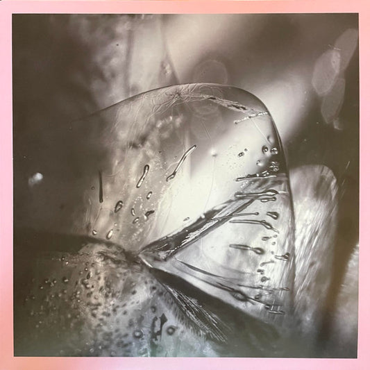 Clara | Mint (M) Mint (M) - AMBIENT