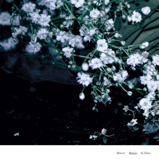 Between The Silence Remixes | Mint (M) Near Mint (NM) - TECHNO