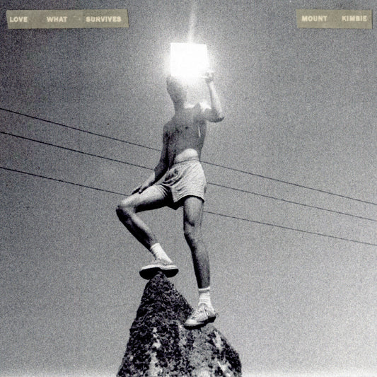 Mount Kimbie - Love What Survives (CD) |