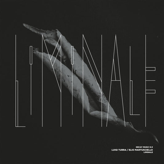 Luigi Turra & Elio Martusciello - Decay Music N.9: Liminale [LP] |
