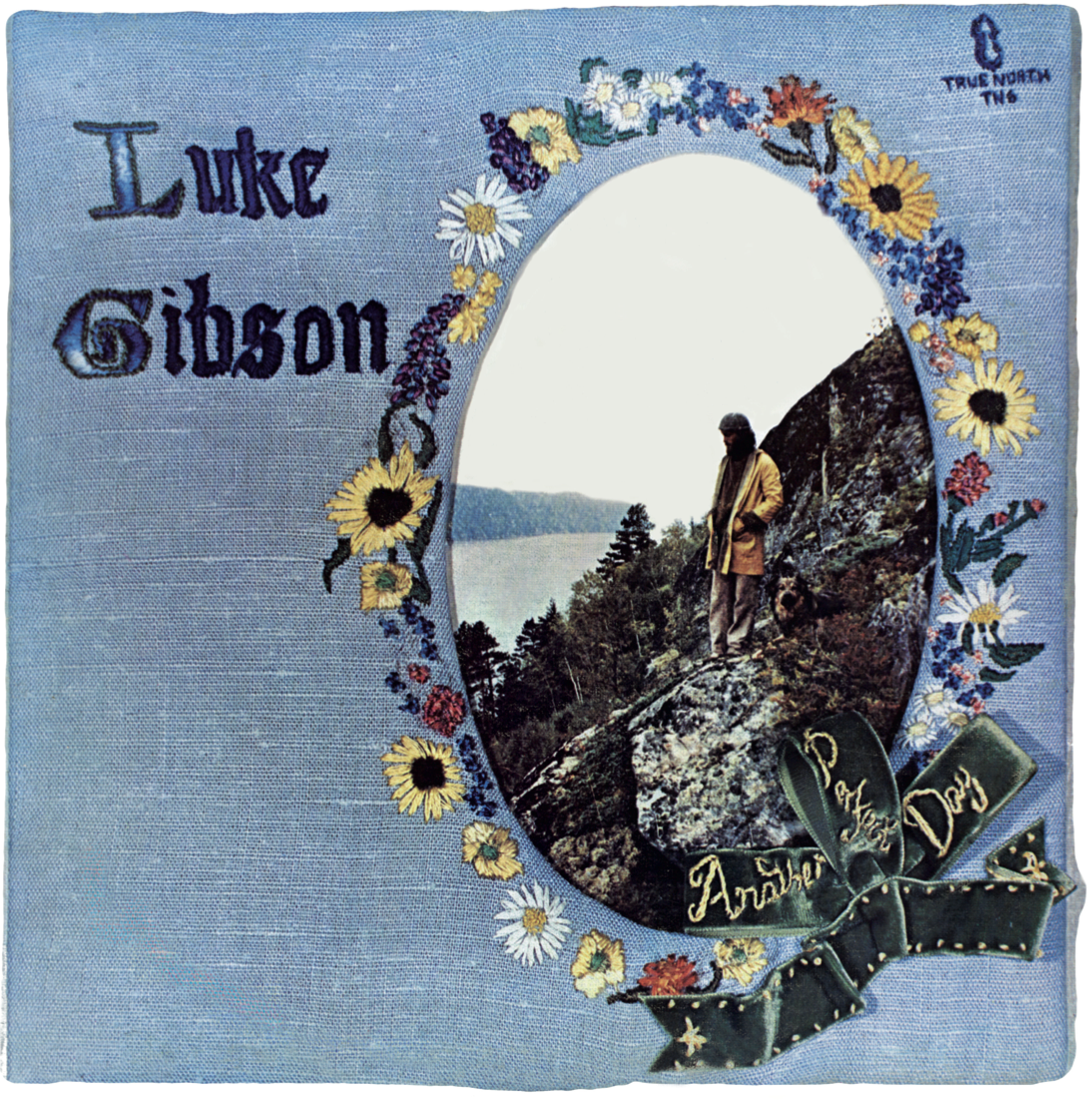 Luke Gibson - Another Perfect Day |