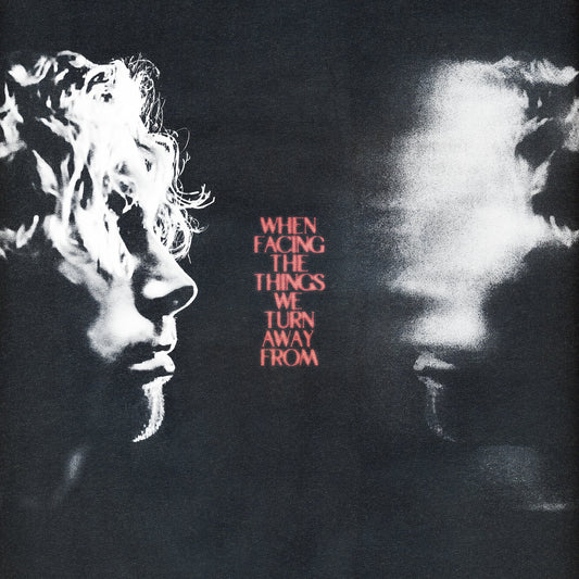 When Facing The Things We Turn Away From (Gatefold LP Jacket, 150 Gram Vinyl) |