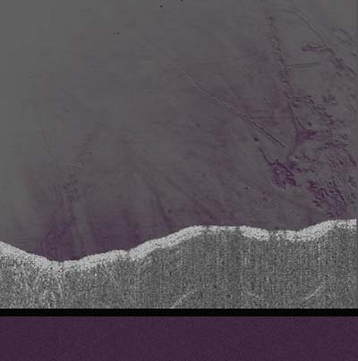 Apophenia [Import] | Mint (M) Mint (M) - EXPERIMENTAL *NEW*