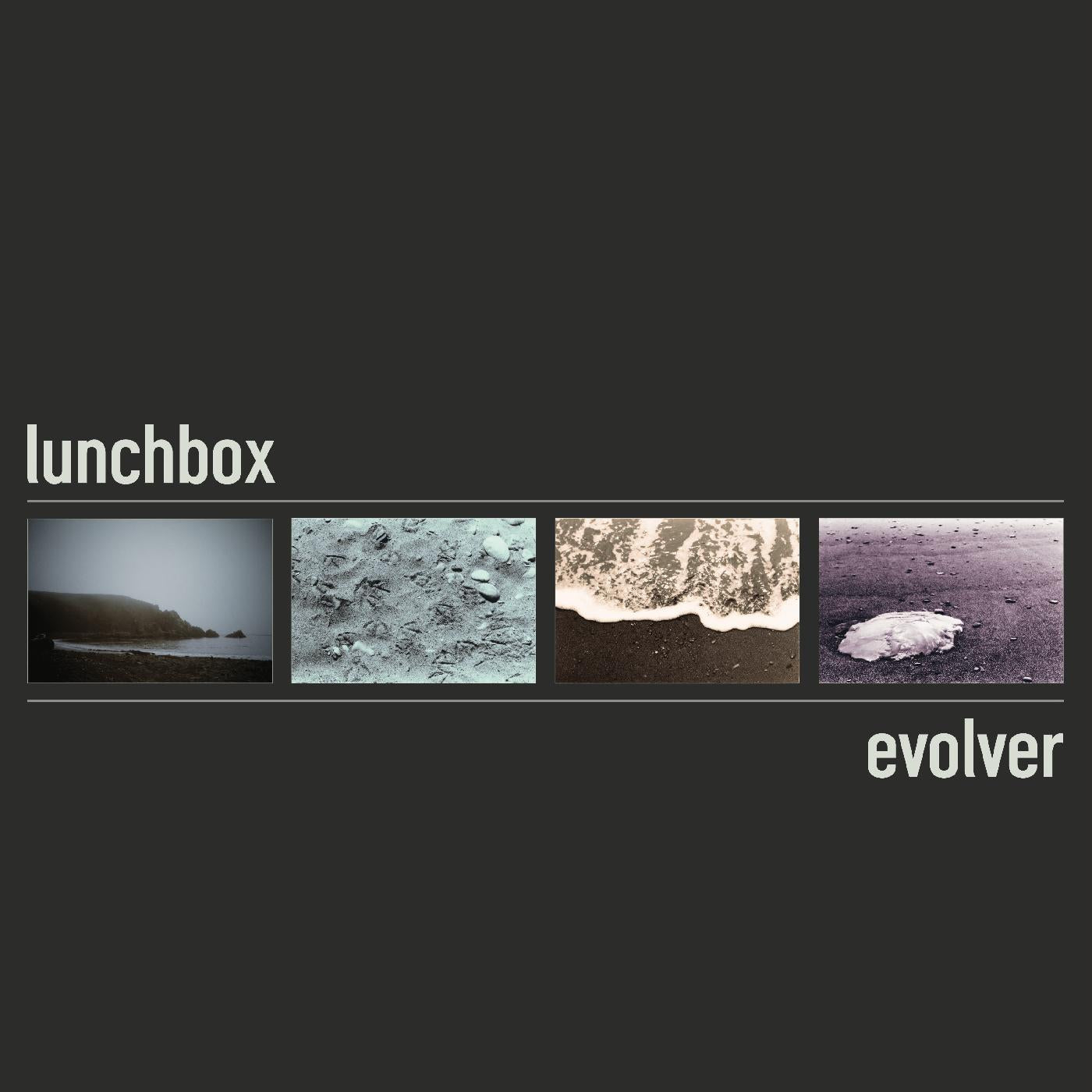 Evolver (2025 Vinyl Edition) |