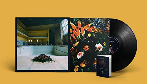 LYR - Call in the Crash Team [LP] |