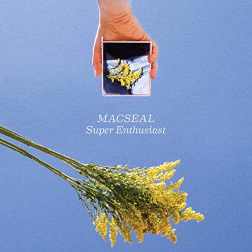 Macseal - Super Enthusiast |