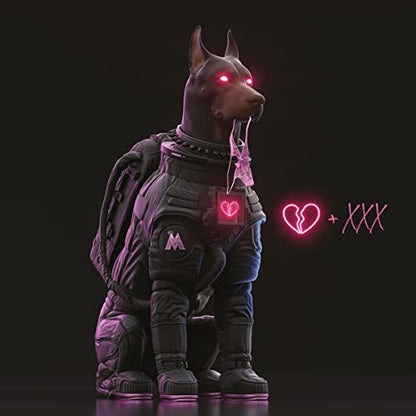 The Love & Sex Tape (180 Gram Vinyl, Gatefold LP Jacket) [Explicit Content] |