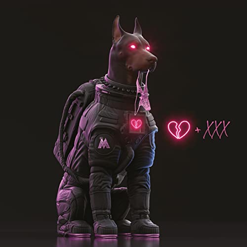 The Love & Sex Tape (180 Gram Vinyl, Gatefold LP Jacket) [Explicit Content] |