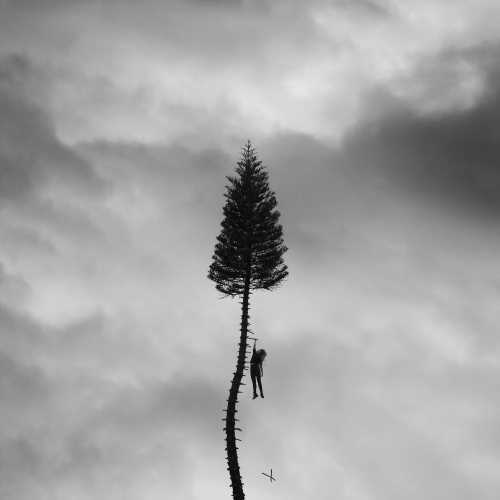 A Black Mile To The Surface [Gray Marble 2 LP] |