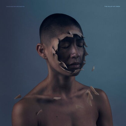 The Valley Of Vision (Indie Exclusive, Limited Edition, Colored Vinyl, Blue) | Mint (M) Mint (M) - ROCK *SEALED/COLOR*