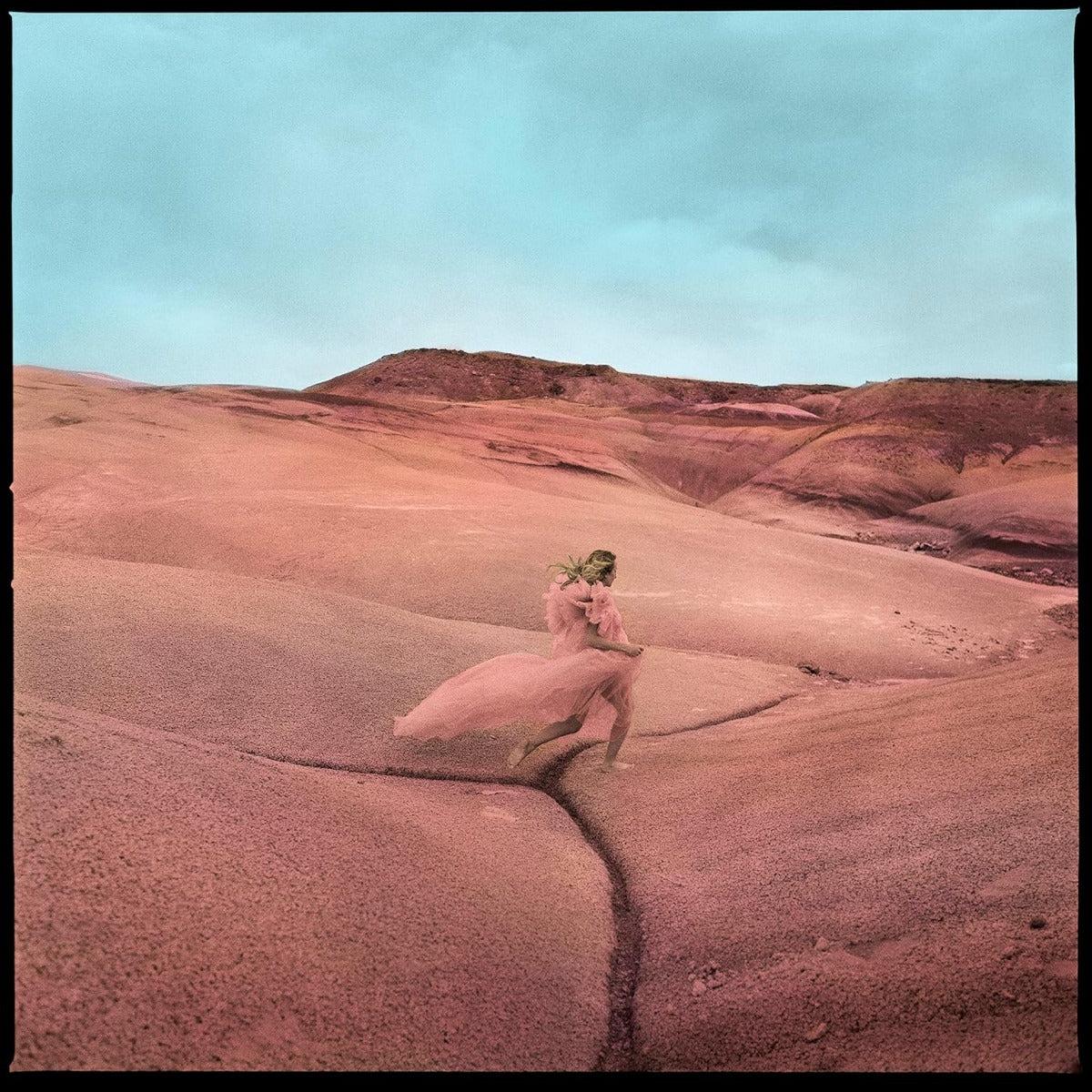 Strays (Limited Edition, Purple Swirl Colored Vinyl, Bonus Flexi-7" Single) |