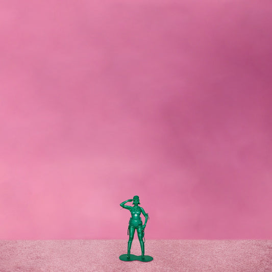 Hearts Sold Separately [LP] |