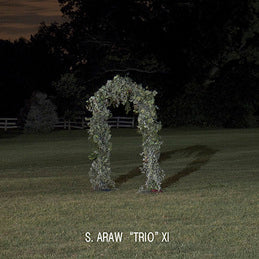 In No Particular Order |