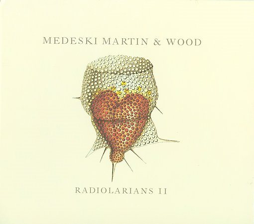 Radiolarians Ii |
