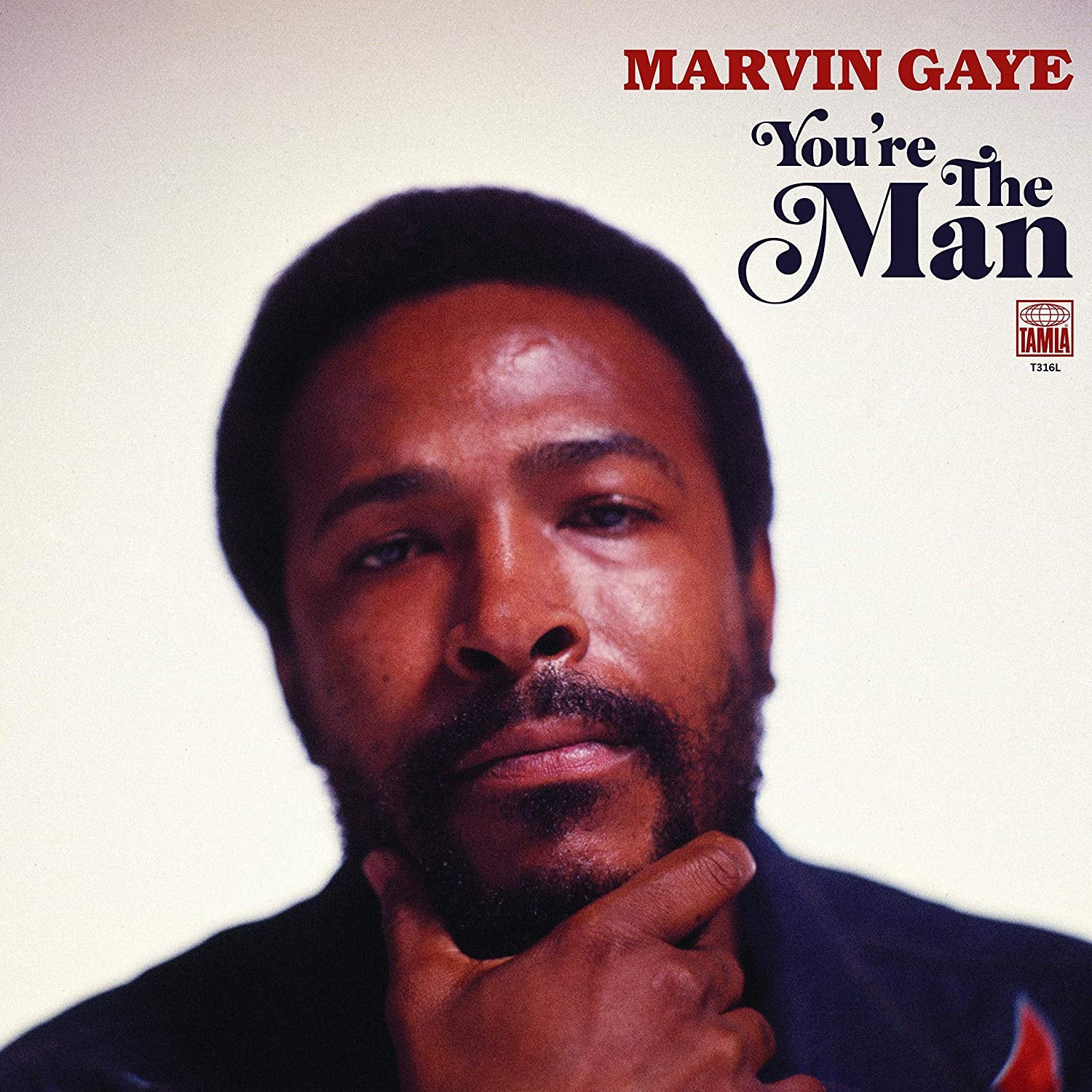 Marvin Gaye - You're The Man |