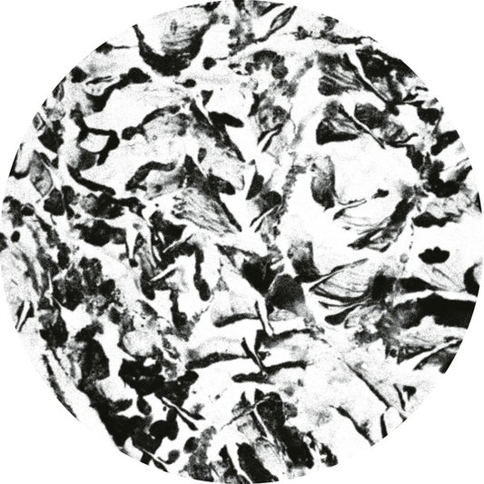 Anata EP |