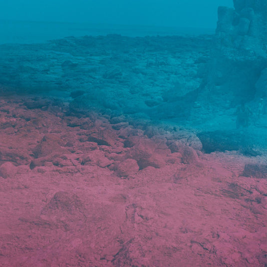 Capri Clouds (Indie Exclusive Dark Cyan Vinyl) |