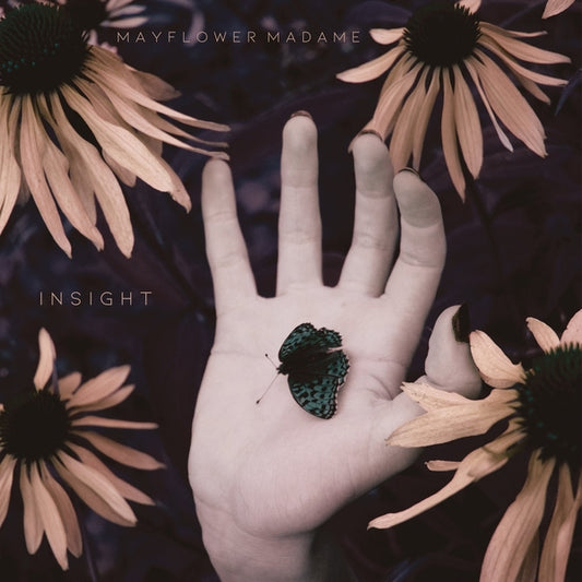 Insight |