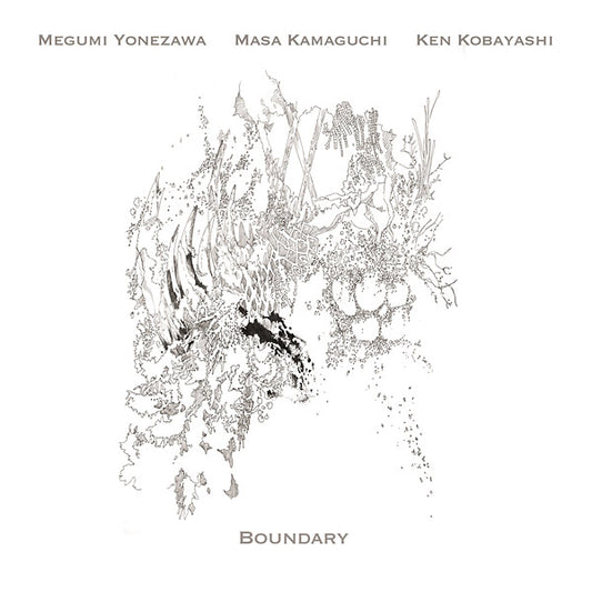 Boundary |