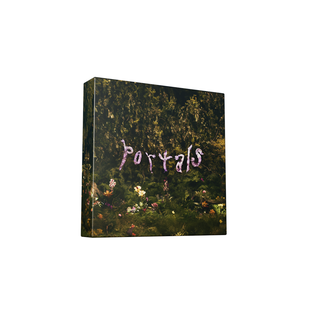 Portals (Deluxe) [2LP Vinyl] |