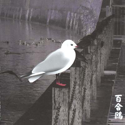 Yurikamome: 13 Japanese Birds Pt. 3 |