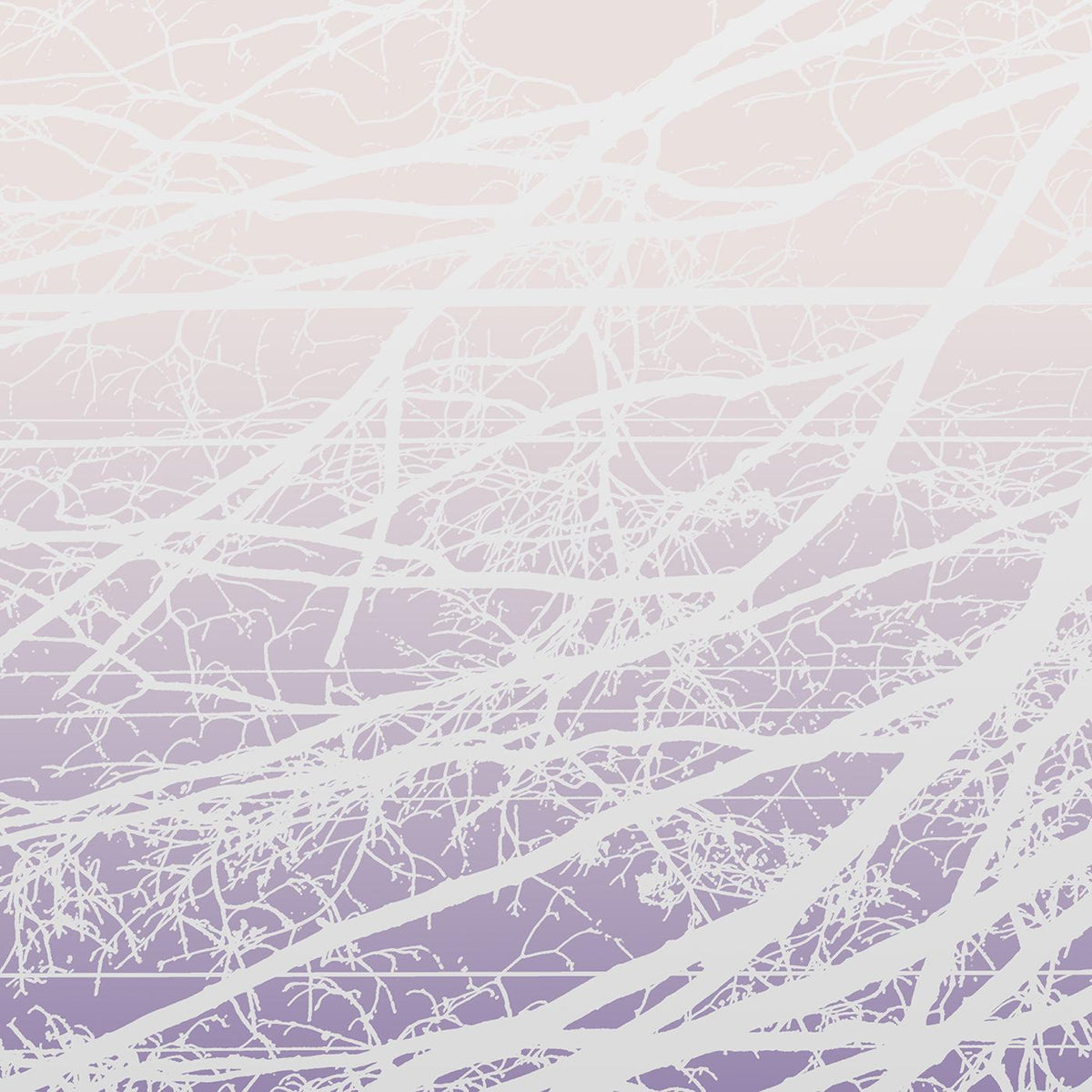 Lea Bertucci - Metal Aether |
