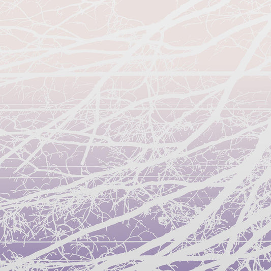 Lea Bertucci - Metal Aether |